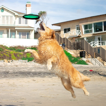 Flippy Flopper 9